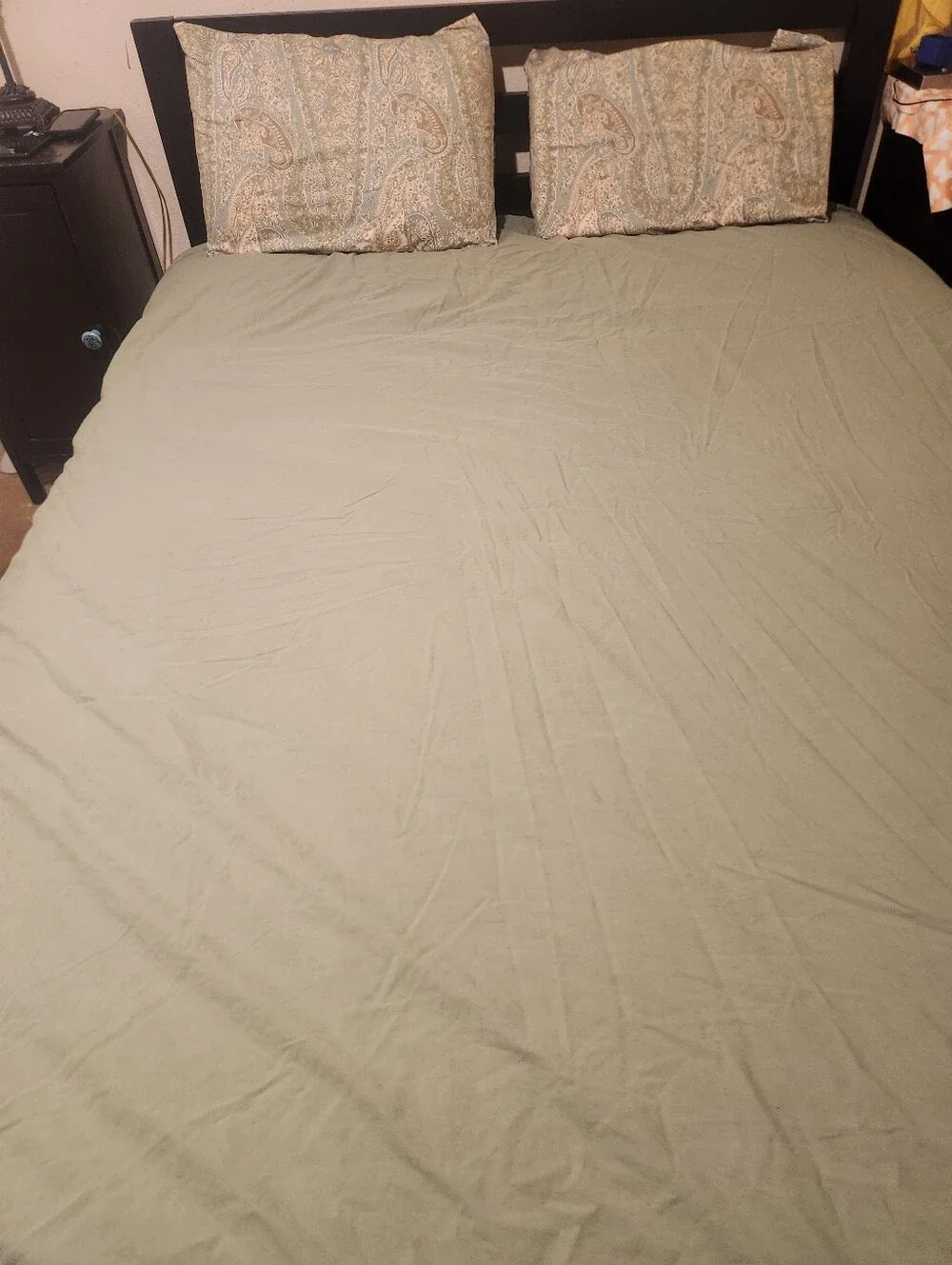 Pottery Barn Sage Green Reversible Queen Duvet Cover & Pillocases